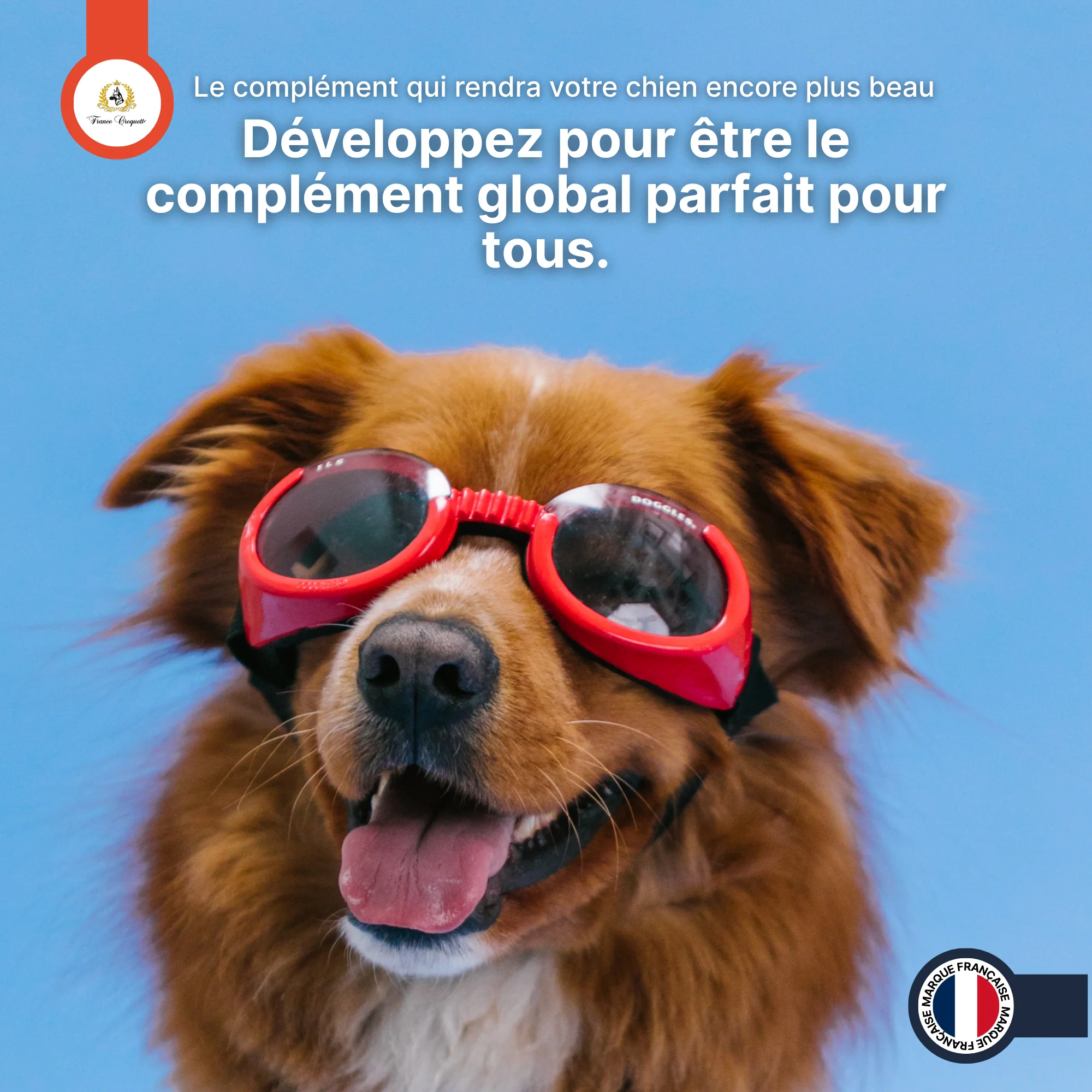Image du produit 7